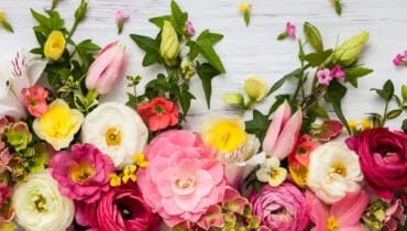 What flower are you? What flower are you?